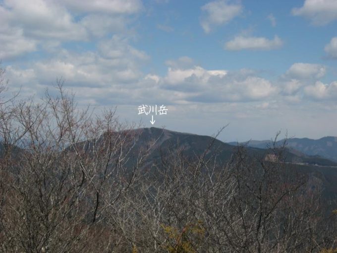 蕨山展望台から見える武川岳
