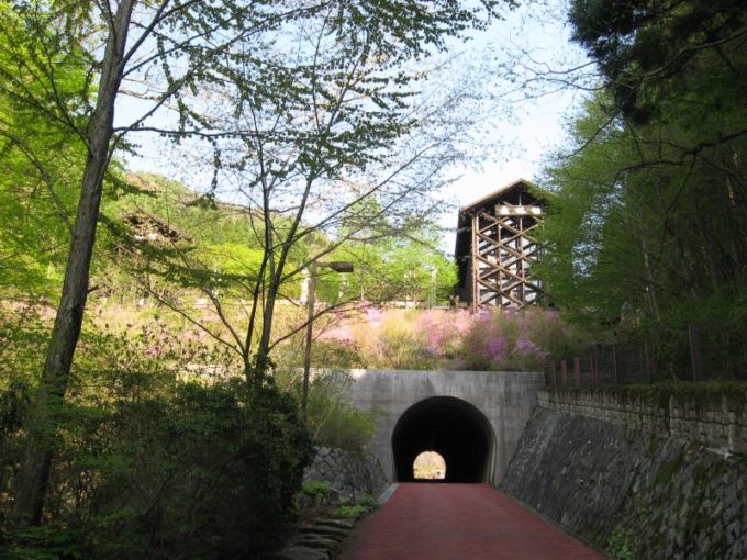 森林館手前のトンネル