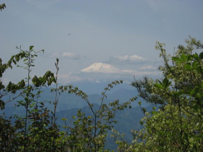 生藤山山頂から見た富士山