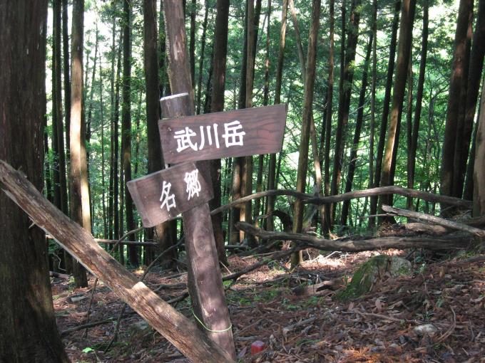 分岐にはしっかりと「武川岳」と書かれた案内板があります。