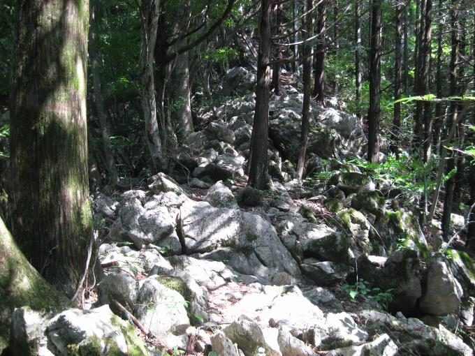 大きな岩が積み重なった岩場がずっと上まで続きます。