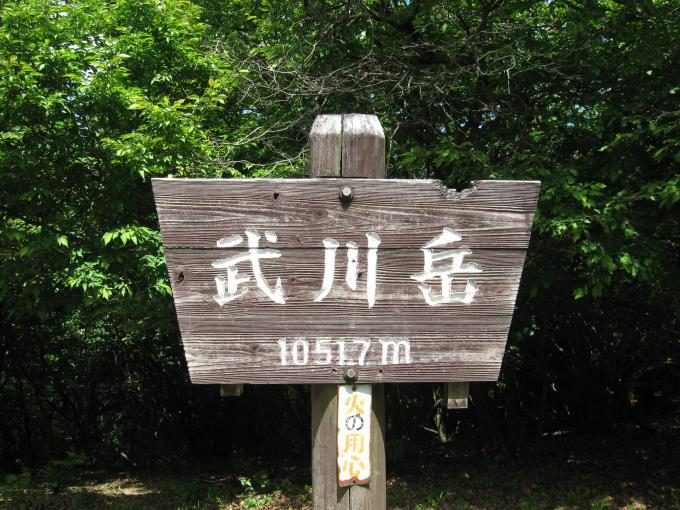 武川岳、１０５１．７ｍと書かれた山名板が立っています。