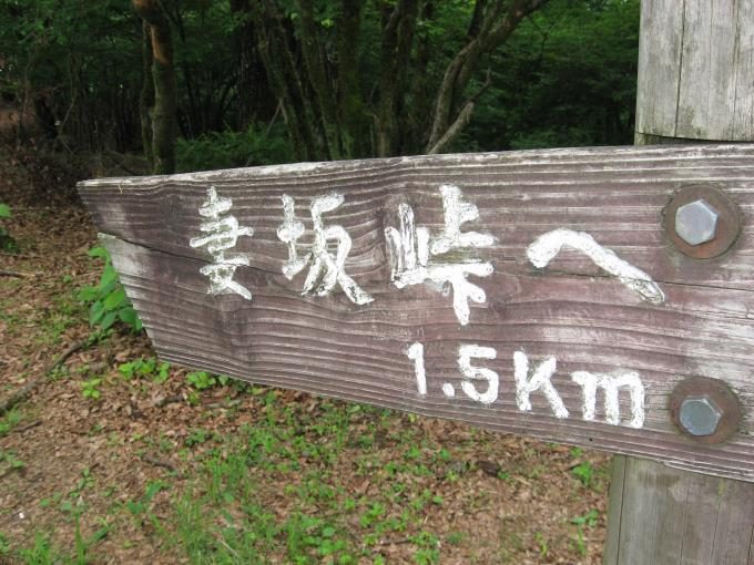 下山は妻坂峠へと書かれた案内板に従って進みます。