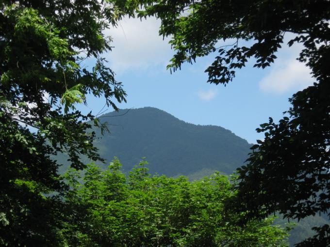 木の間から武甲山の山頂が見えます。