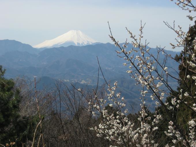 小仏城山山頂から見える富士山