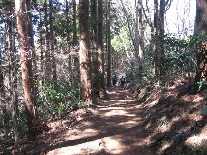 小仏峠への登山道