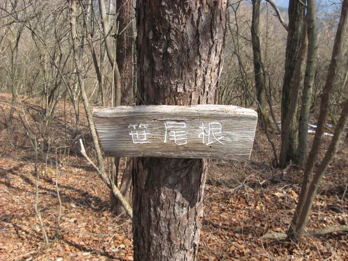 「笹尾根」と書かれた板が木の幹にくくりつけられている