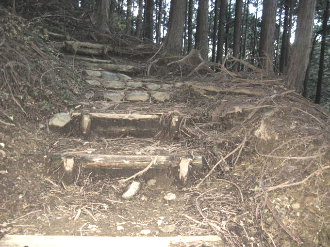 木製の階段