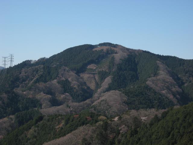 麻生山