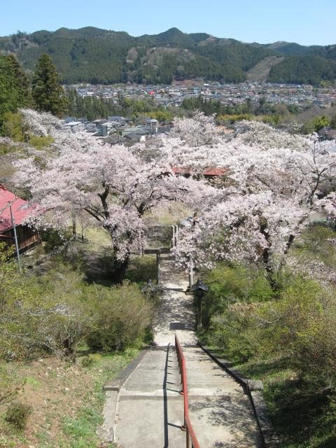 愛宕神社の階段