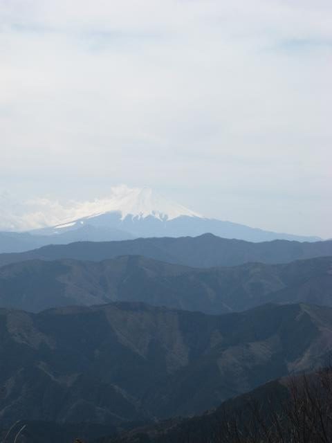 大岳山山頂から見た富士山