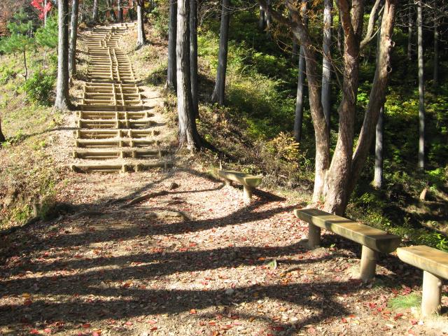長い木製の階段