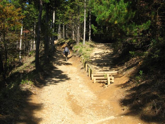 登山道と木製の階段