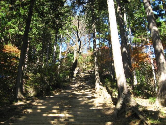 山頂直下の急な木製の階段