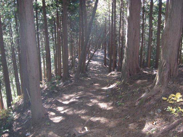 笠山峠への登山道