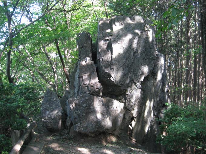 岩茸石