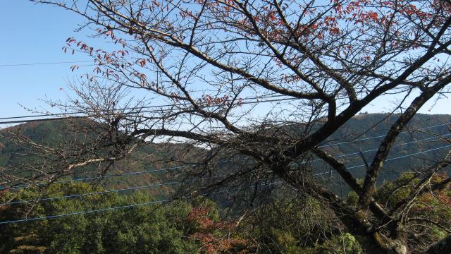 木と電線に邪魔される笠山、堂平山方面の展望