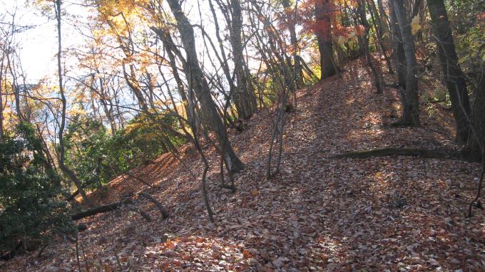 落葉で埋め尽くされた登山道