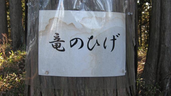 山頂名の書かれた私製の貼り紙が木の幹に貼られている