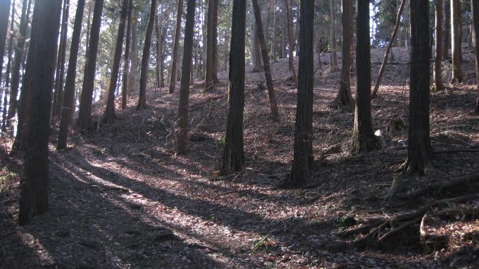 森の中の登山道