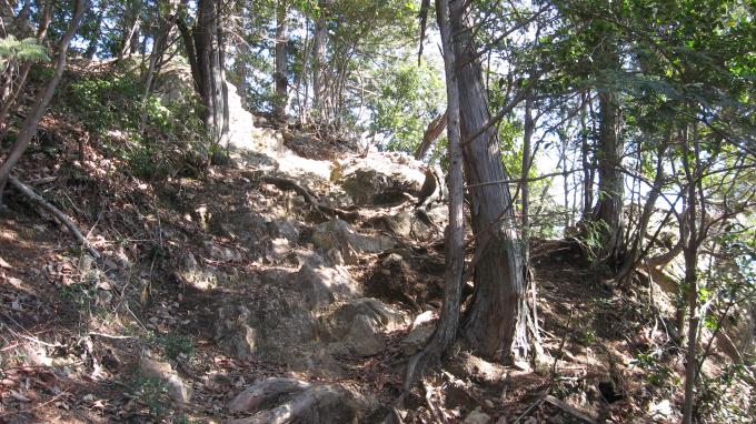 岩が多くなる登山道