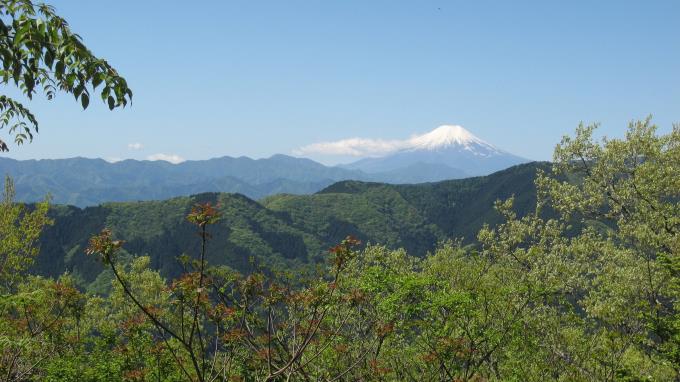 松生山山頂から見た富士山