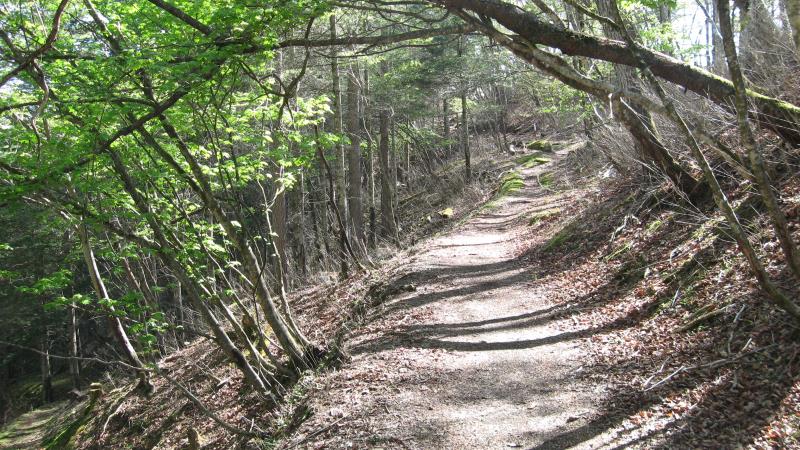 六本木峠から先の登山道