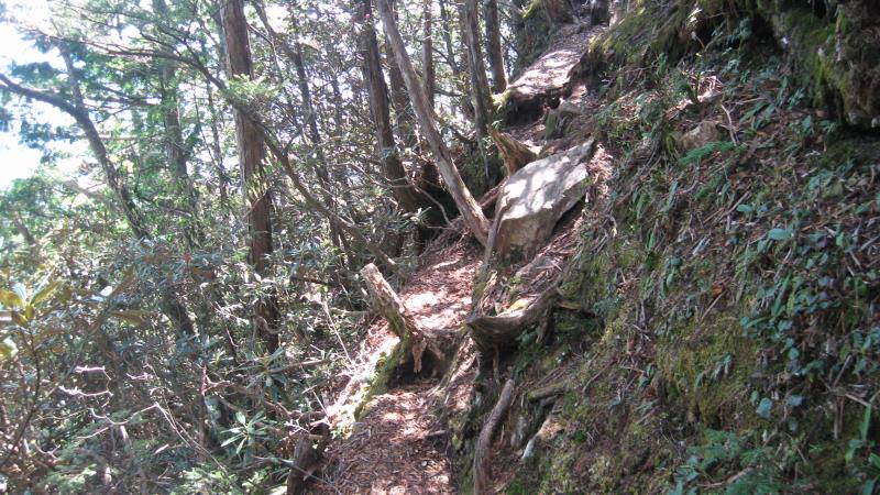 斜面の細い登山道