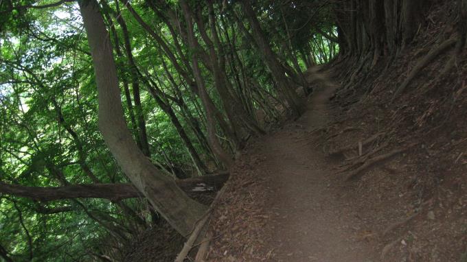 深い森の中の登山道