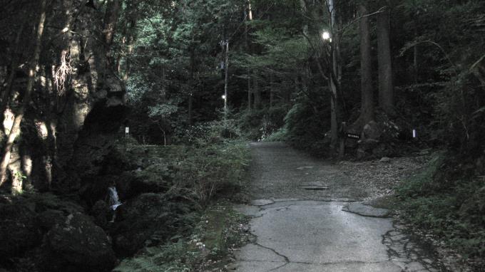 男滝・女滝への遊歩道