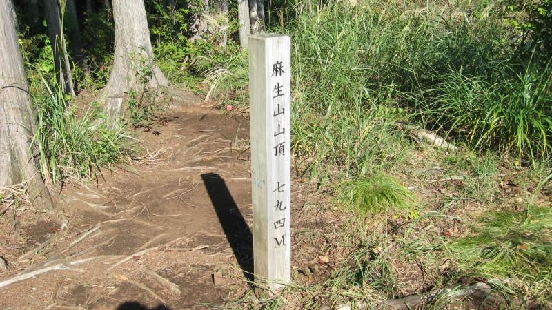 麻生山山頂に立つ山頂名の書かれた簡易な角柱