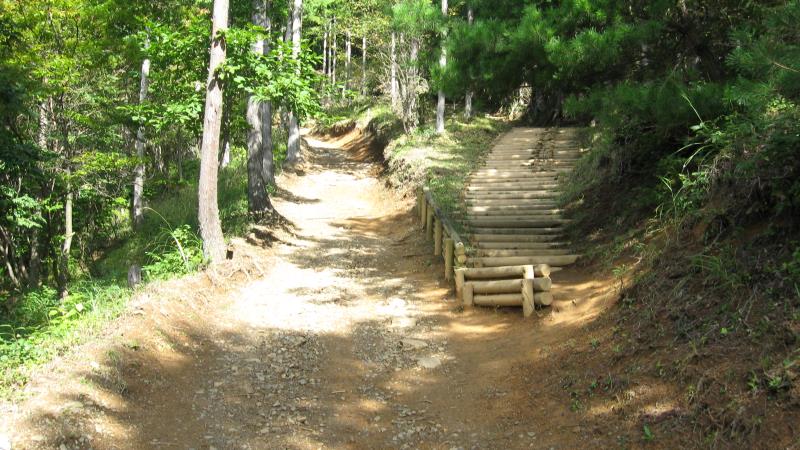 登山道と木製階段（どちらを進んでも先で合流する）