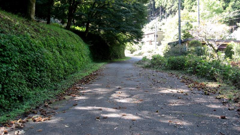 白岩の滝方面の舗装道路