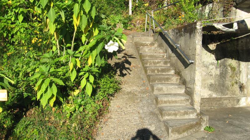 登山口の階段