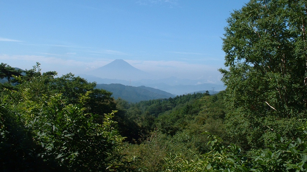 林道から見える夏の富士山