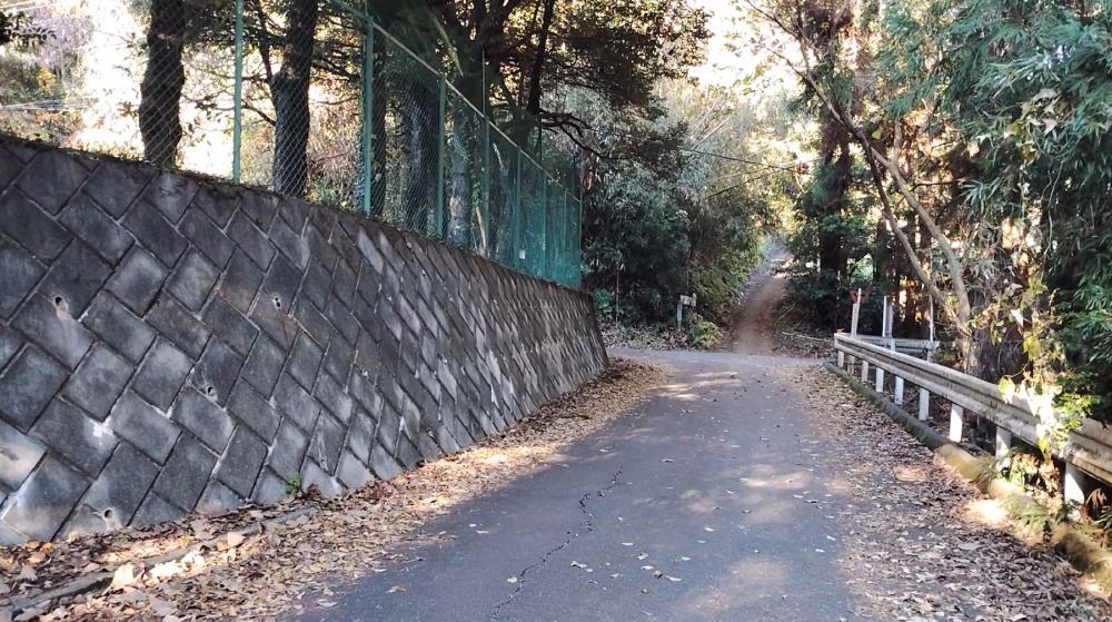 舗装道路から登山道へ