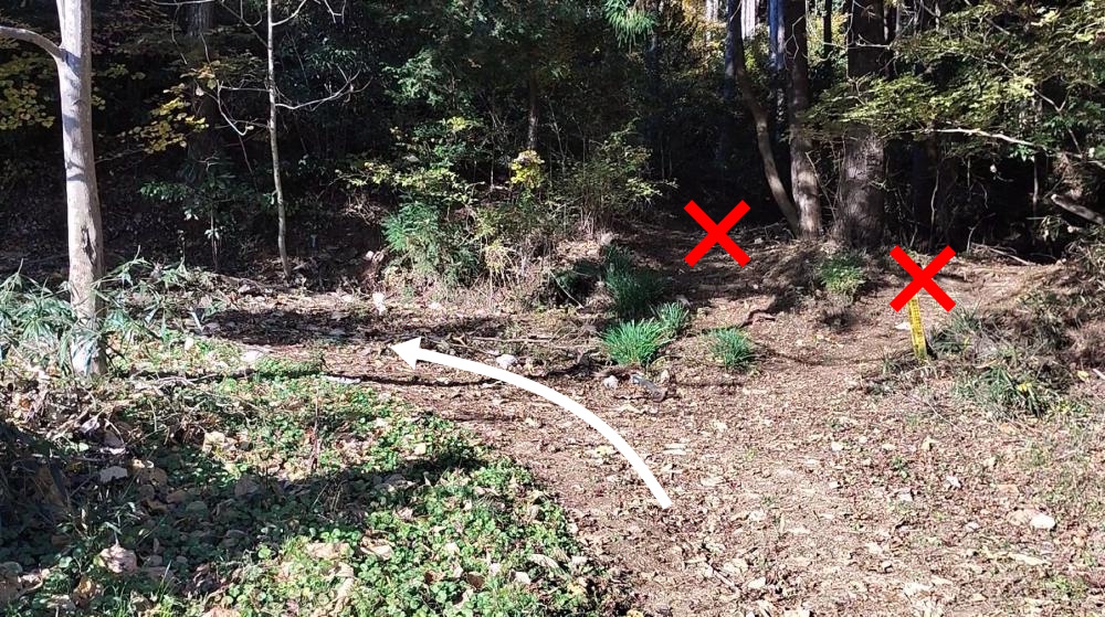 分岐（案内板なし）