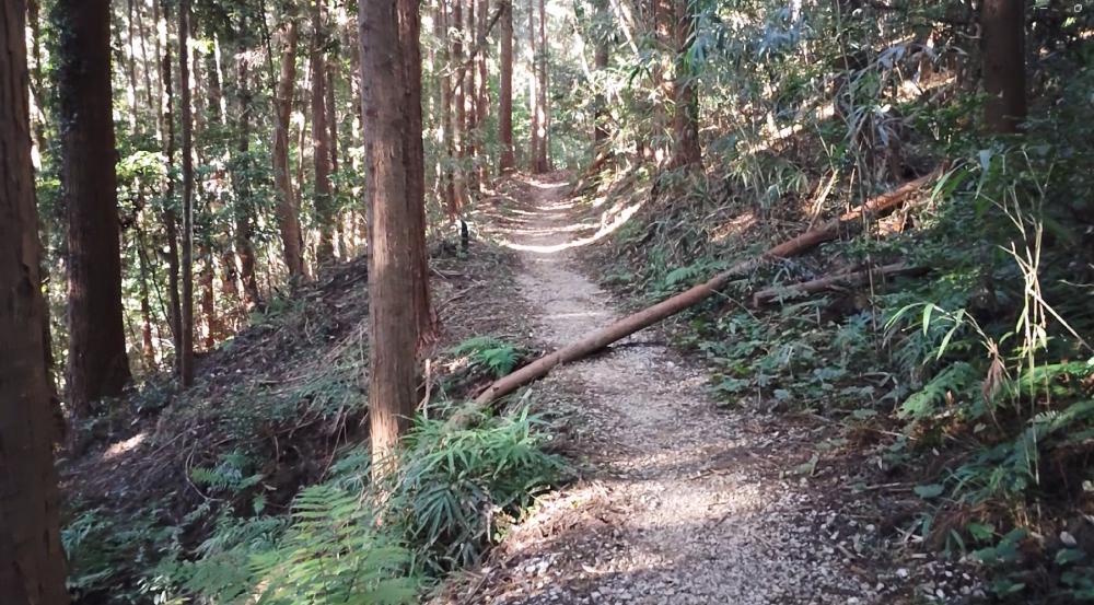 登山道の様子