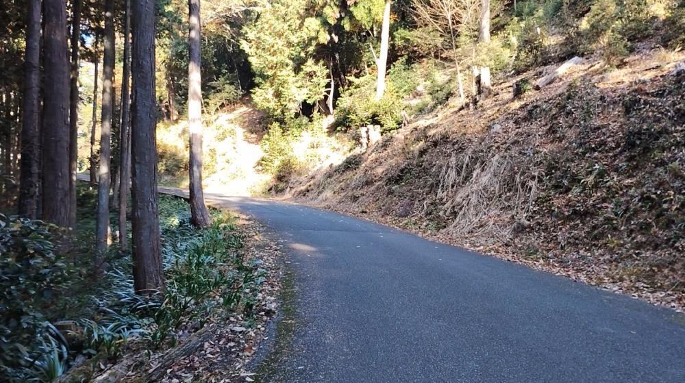 スカリ山登山口までの舗装道路