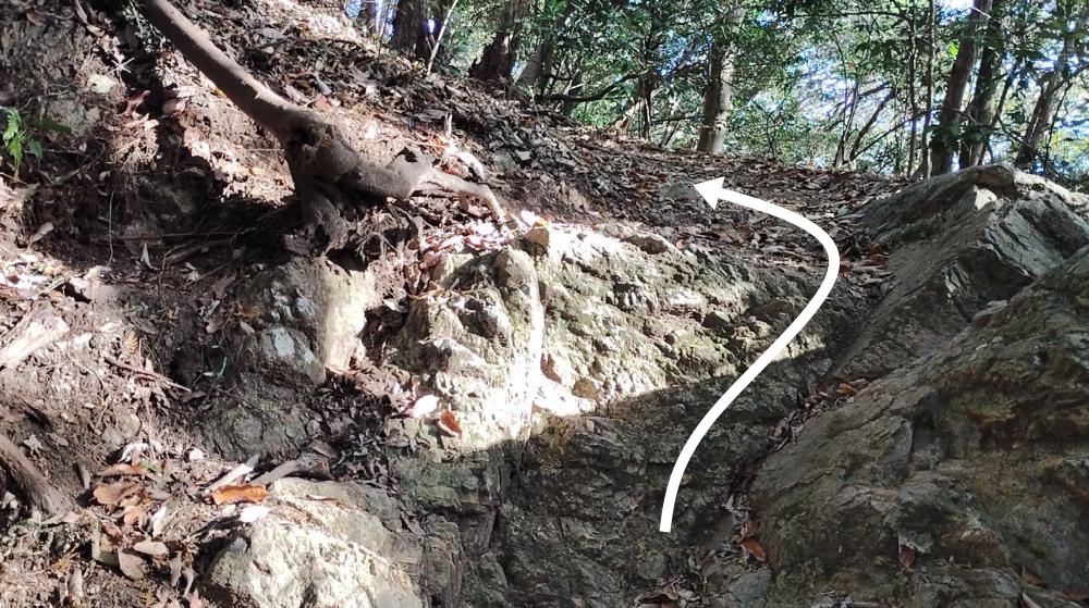 観音ケ岳前のの登山道