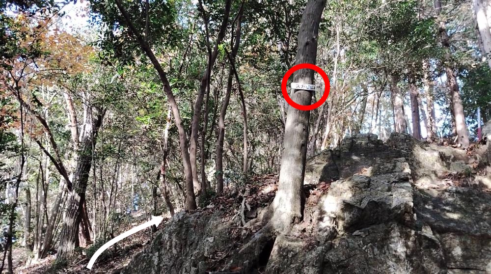 分岐にある案内板