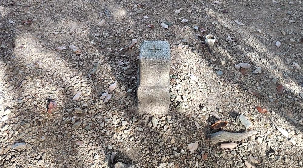 スカリ山山頂にある三角点