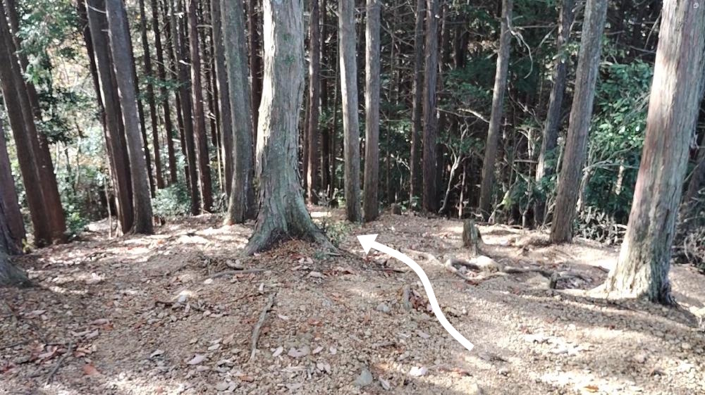 下山道（おすすめ）