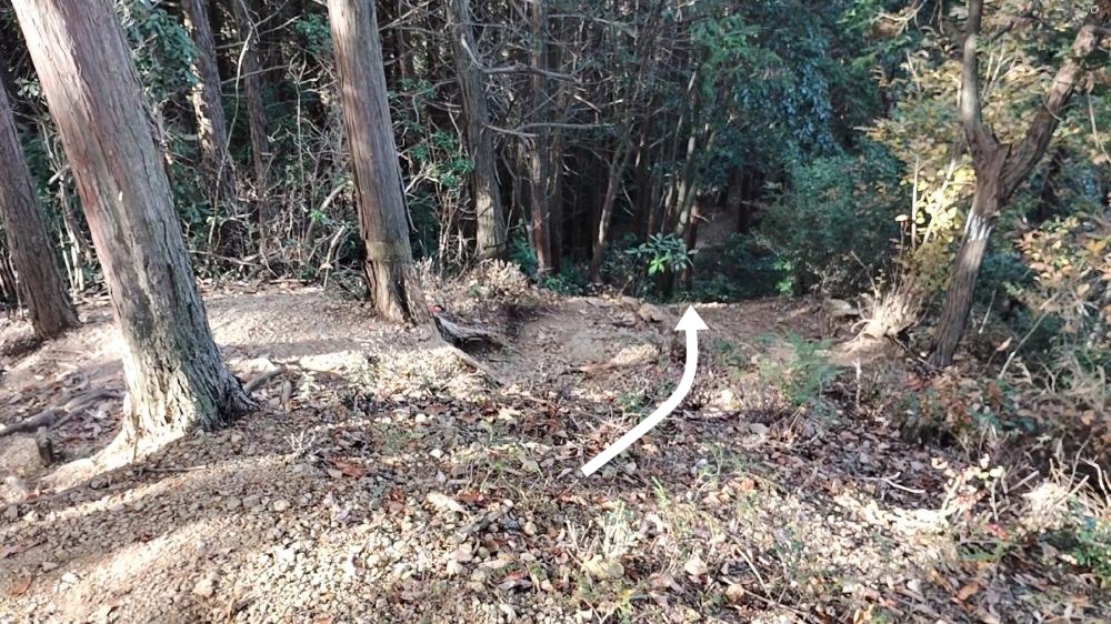 下山道（今回）