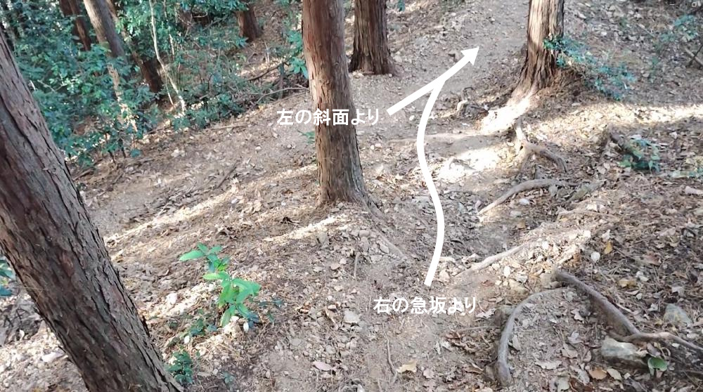 下山道合流地点