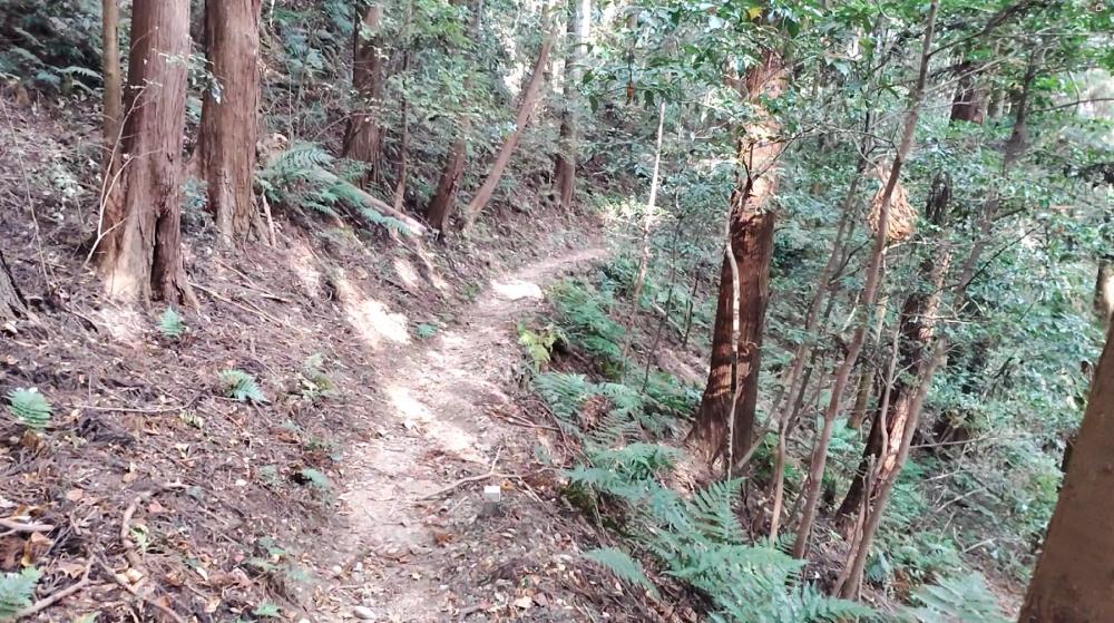 分岐から鎌北湖への登山道